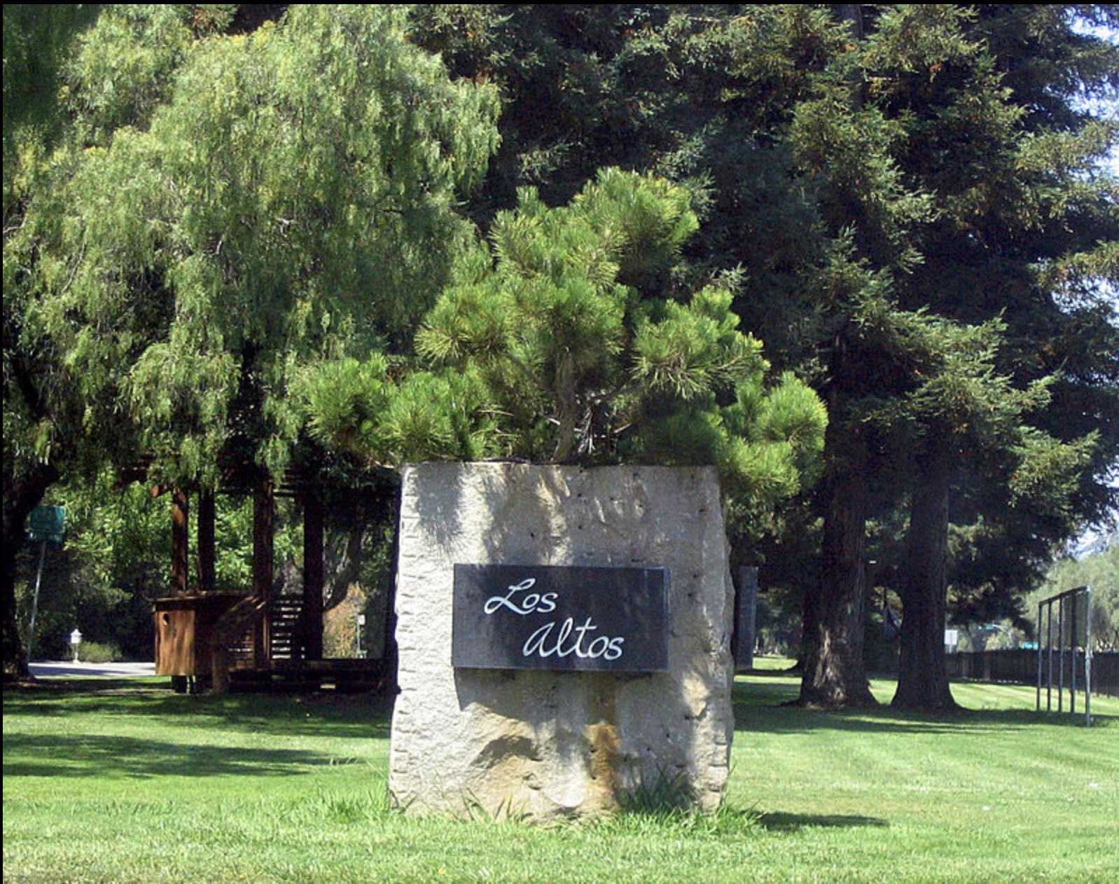 Los Altos Realtor